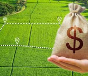 В Киеве мужчина продал чужую землю по поддельной доверенности