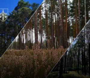 В Киевской области возвращены более 84 гектаров земли