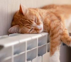 В Києві тривають відновлювальні роботи