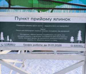 У Києві відкрили 72 пункти для прийому хвойних дерев