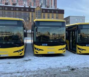 Киев усиливает транспортную сеть новыми автобусами