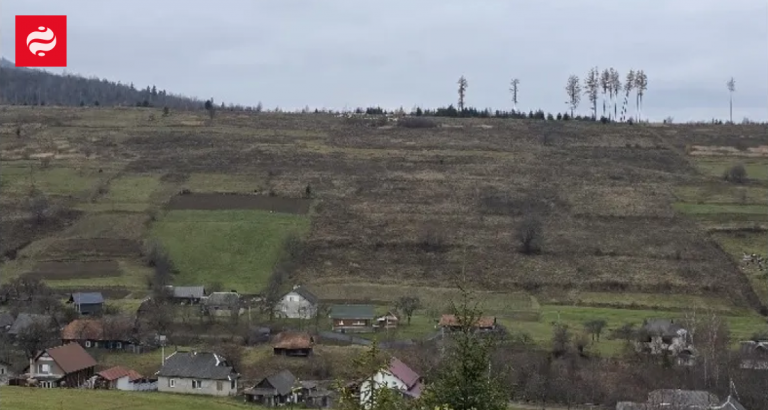 АРМА реалізувало земельні ділянки в Карпатах