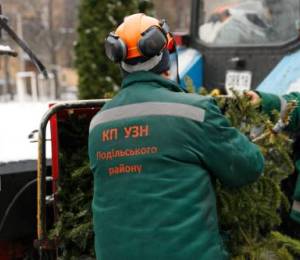 Киевляне сдали на утилизацию почти 7 тысяч хвойных деревьев
