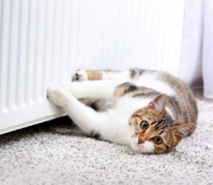 Киев готовится к следующему отопительному сезону