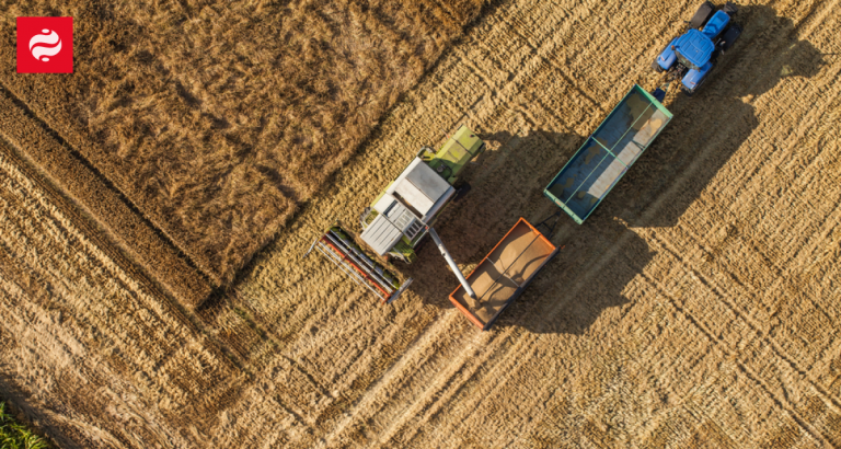 Объем рынка земли в Украине достиг миллиона гектаров