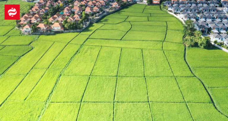 Рекордні угоди з купівлі-продажу земель в Україні у 2025 році