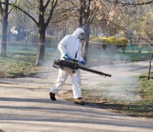 В Киеве продолжаются обработки зеленых зон от клещей