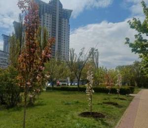 В Киеве высадили 633 дерева в рамках экологической акции