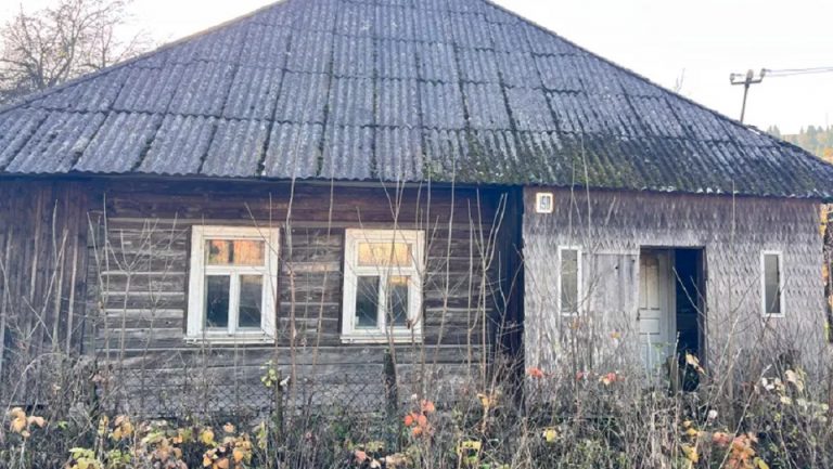 Будинок на Закарпатті подорожчав на аукціоні майже у 2000 разів